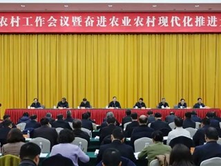 苏州市委农村工作会议暨奋进农业农村现代化推进大会召开