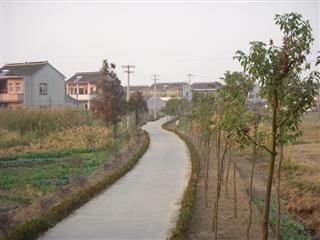 整洁的村道
