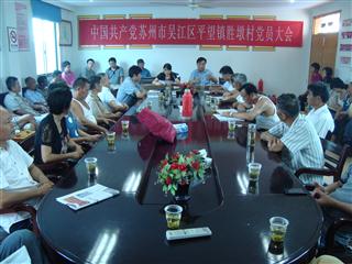 胜墩村召开党总支换届选举大会