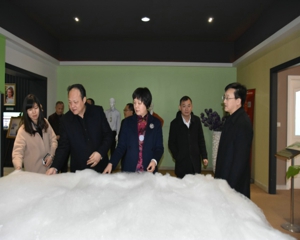 南充市委副书记陈光浩一行来震泽考察
