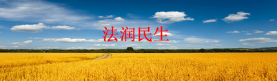 法润民生