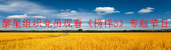 黎星组织党员观看《榜样3》专题节目