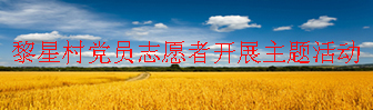 黎星村党员志愿者开展主题活动