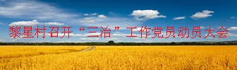 黎星村召开“三治”工作党员动员大会
