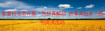 黎星村党员开展“思想再解放 改革再出发”图书阅读活动