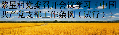 黎星村党委召开会议学习《中国共产党支部工作条例（试行）》