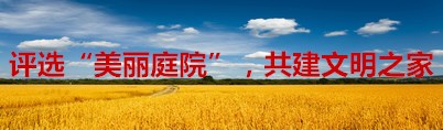 评选“美丽庭院”，共建文明之家