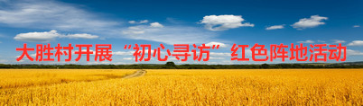 大胜村开展“初心寻访”红色阵地活动