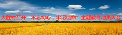 大胜村召开“不忘初心，牢记使命”主题教育动员大会