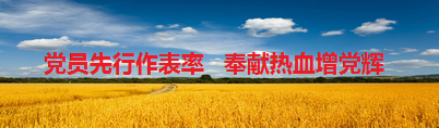 党员先行作表率  奉献热血增党辉