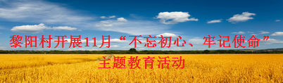黎阳村开展11月“不忘初心、牢记使命”主题教育活动