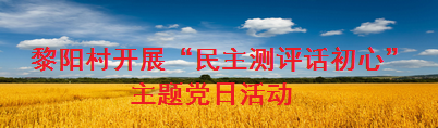黎阳村开展“民主测评话初心”主题党日活动