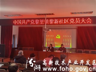 黎新社区顺利完成党组织换届选举工作