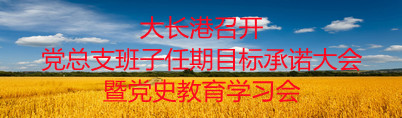 大长港召开党总支班子任期目标承诺大会暨党史教育学习会