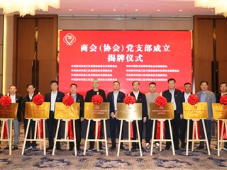 盛泽镇8家商会（协会）党支部成立