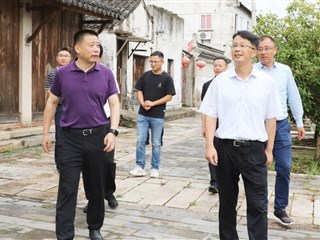 聚焦古村落文化保护与传承 区领导调研溪港村特色田园乡村建设